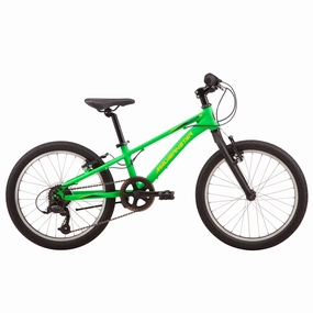 20" Malvern Star Attitude (2025)