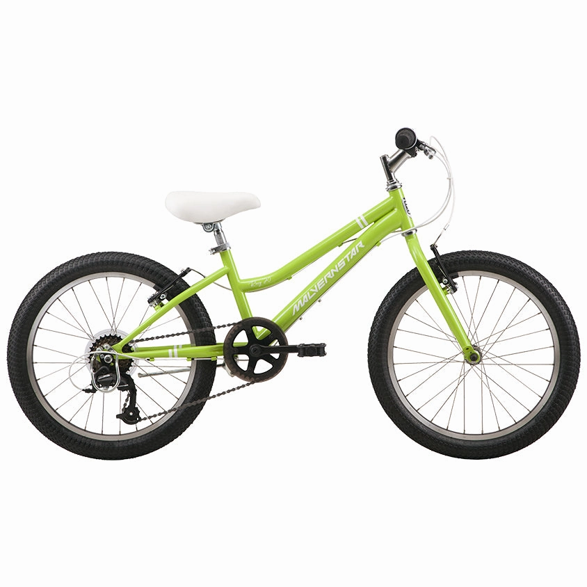 20" Malvern Star Roxy (2025)