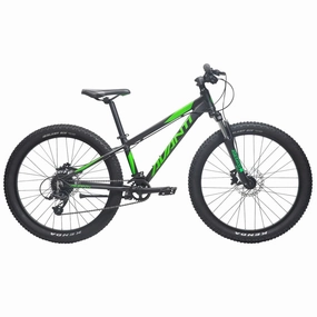 24" Avanti Montari Jr