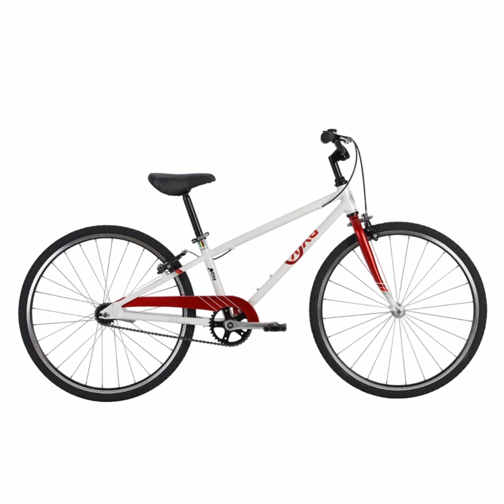 24" BYK E-540 Coaster Boys