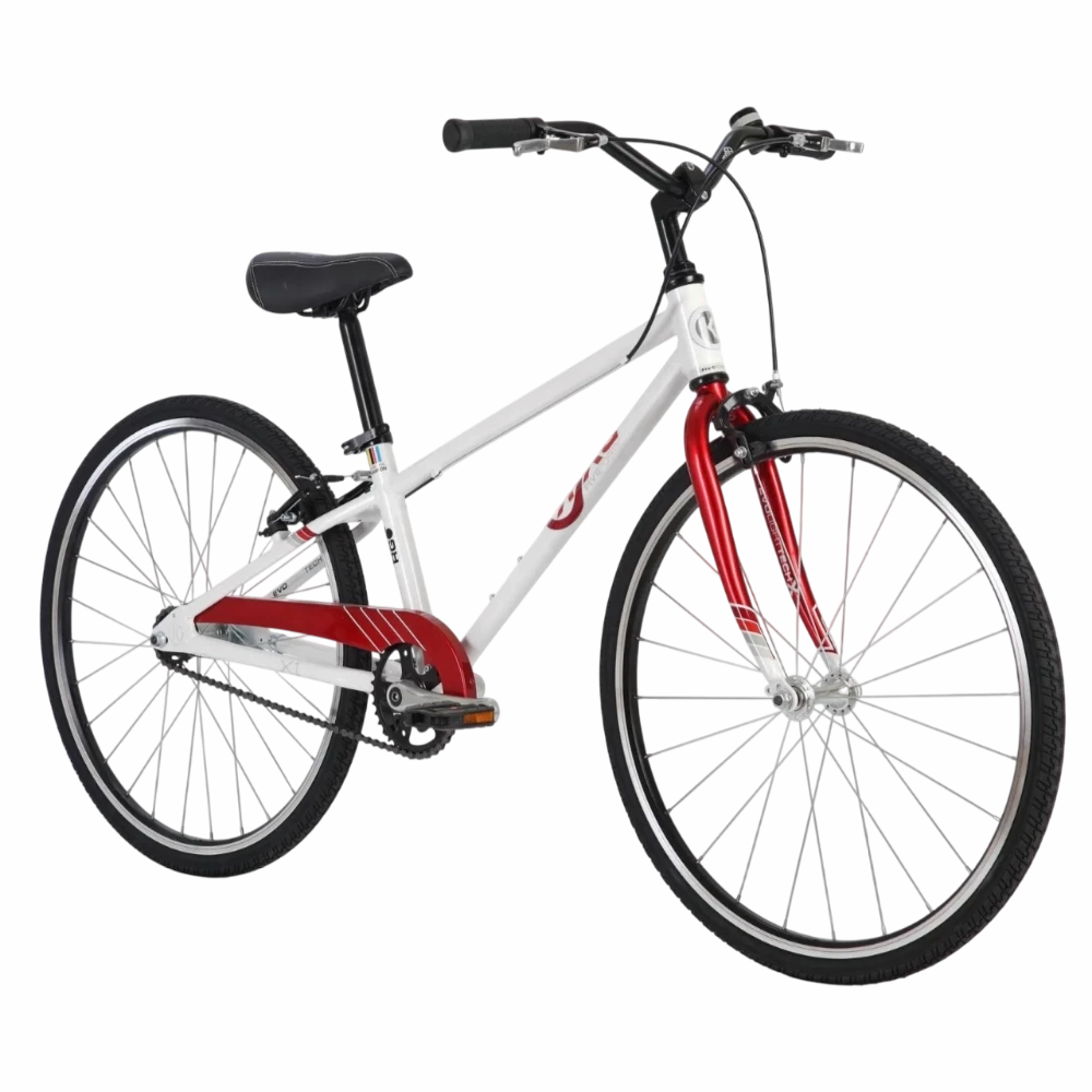 24" BYK E-540 Coaster Boys