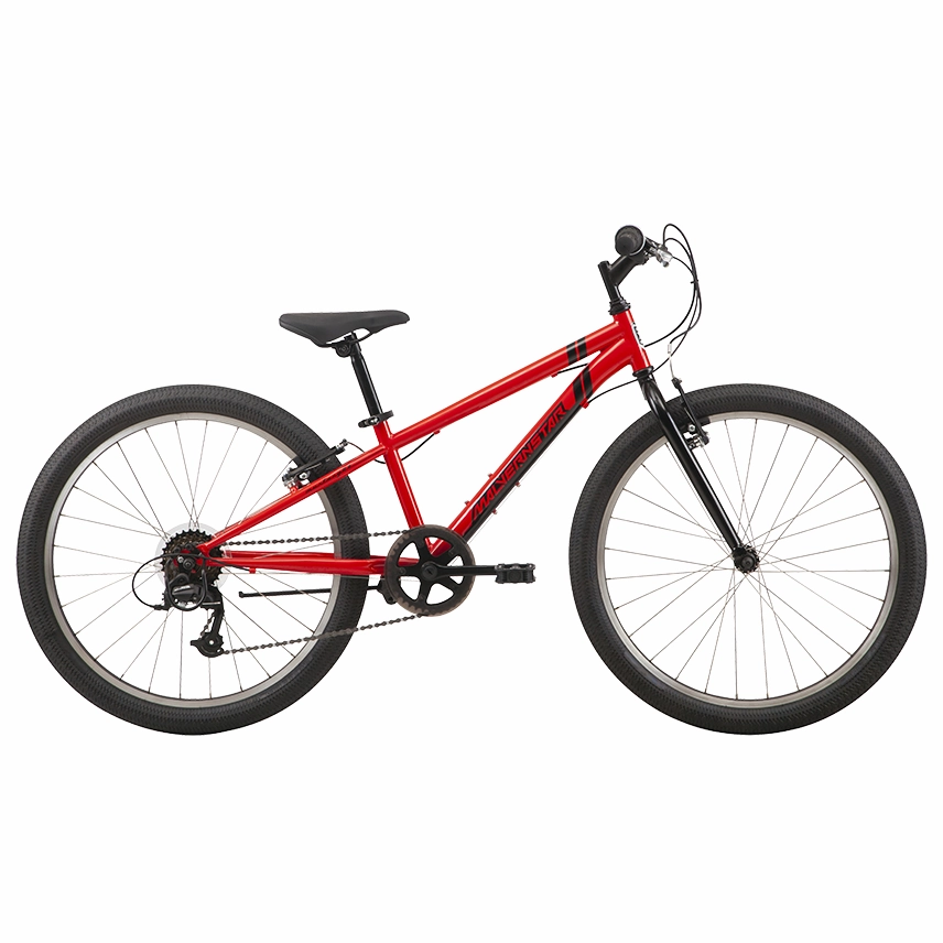 24" Malvern Star Mustang