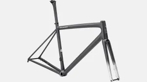 Aethos Frameset Satin Carbon/Flake Silver