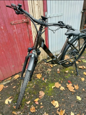 Ampere Delux 2024