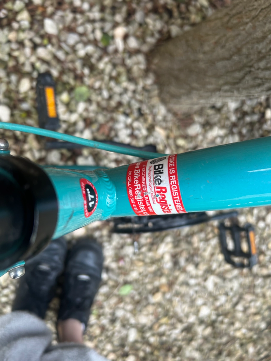Apollo Entice Womens Mountain Bike 2023