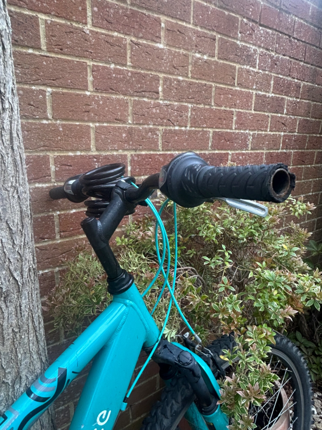 Apollo Entice Womens Mountain Bike 2023