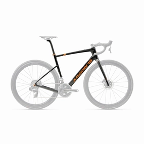 Argon 18 Krypton Pro Frameset