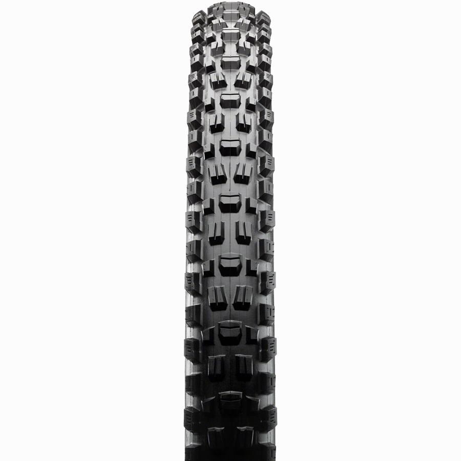 Assegai 3C MT EXO  TR WT - 29 x 2.5