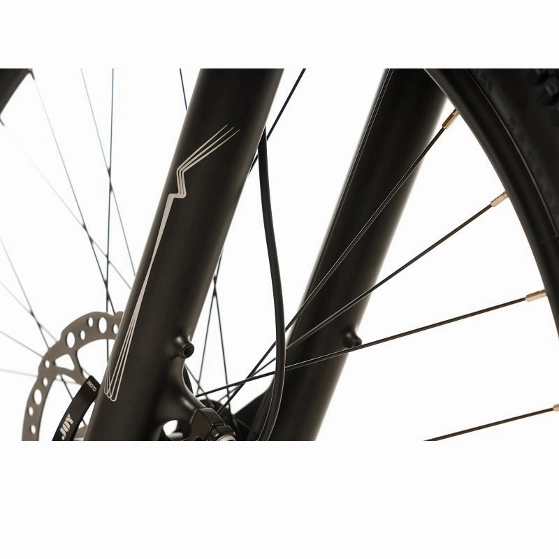 AVALANCHE MTe E-Bike (2024)
