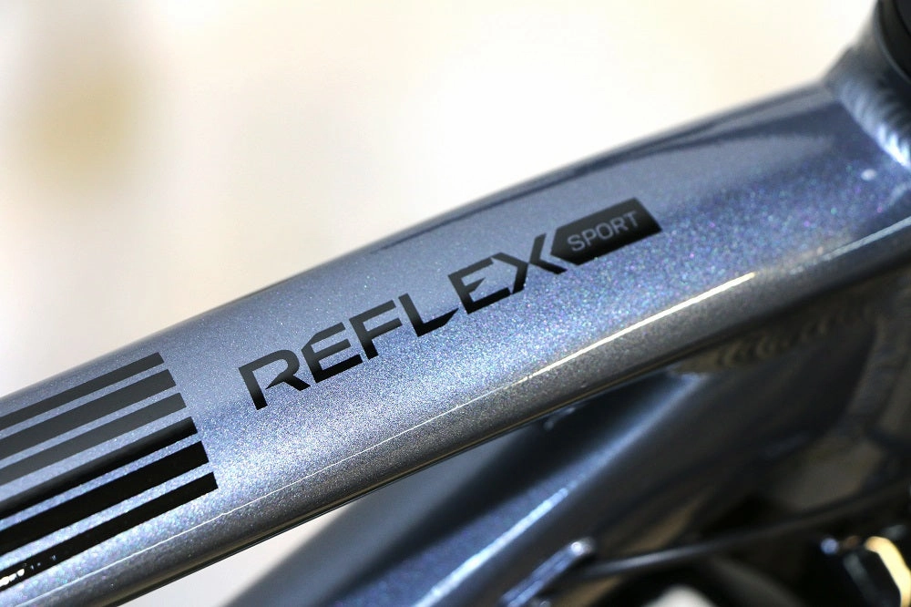 AVALANCHE Reflex 29er Sport (2024)