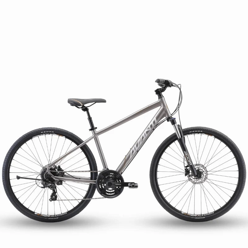 Avanti Discovery 2 Hybrid Bike - Titanium