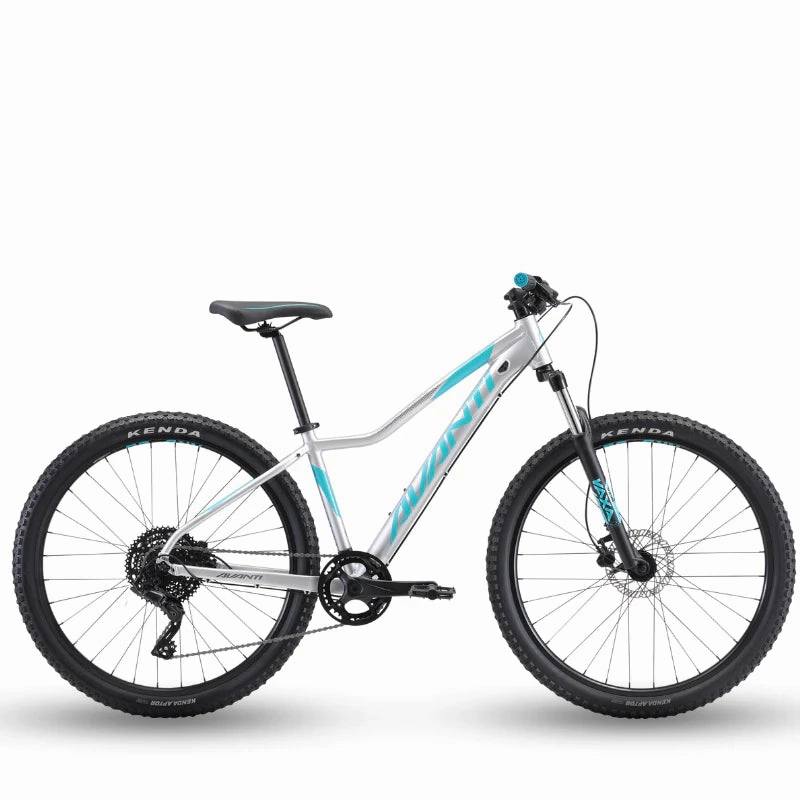Avanti Montari MS 1W Mountain Bike Silver
