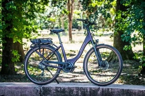 Bergamont E-Horizon 4 RT - Aubergine 2023