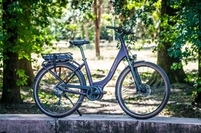Bergamont E-Horizon 4 RT - Aubergine 2023
