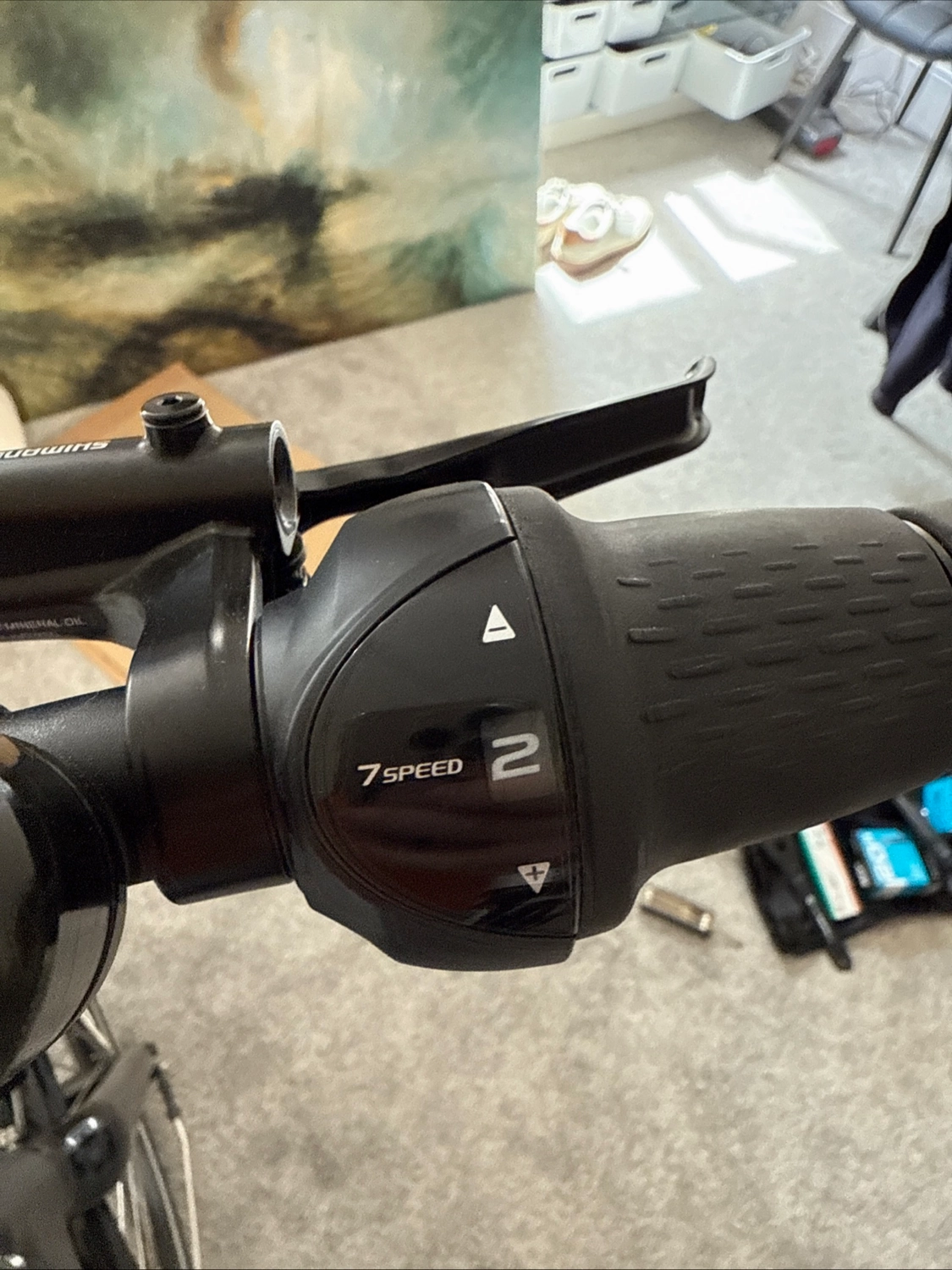 Bergamont Paul-E EQ Edition 2024