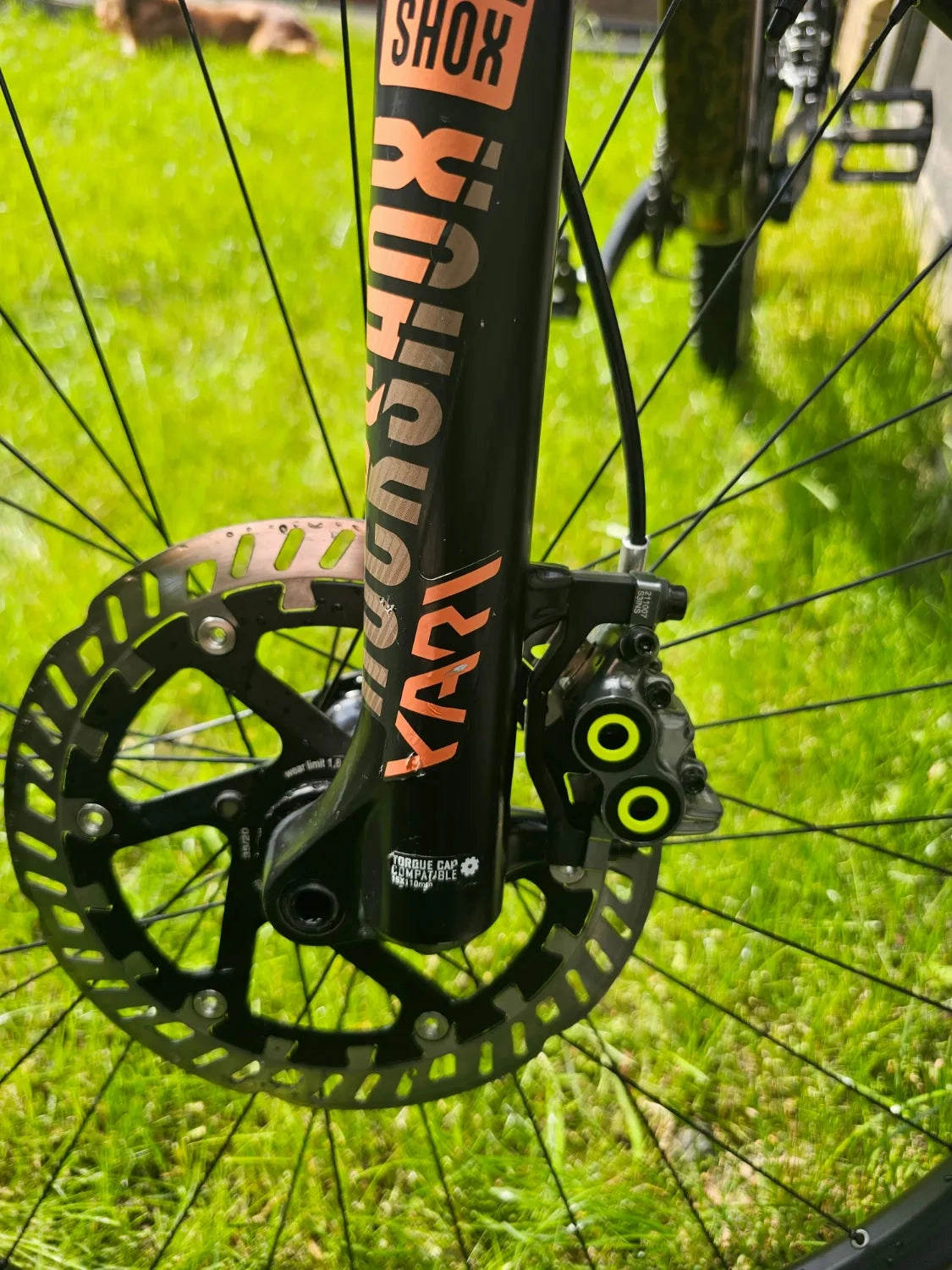 Bergamont Trailster 8 2020