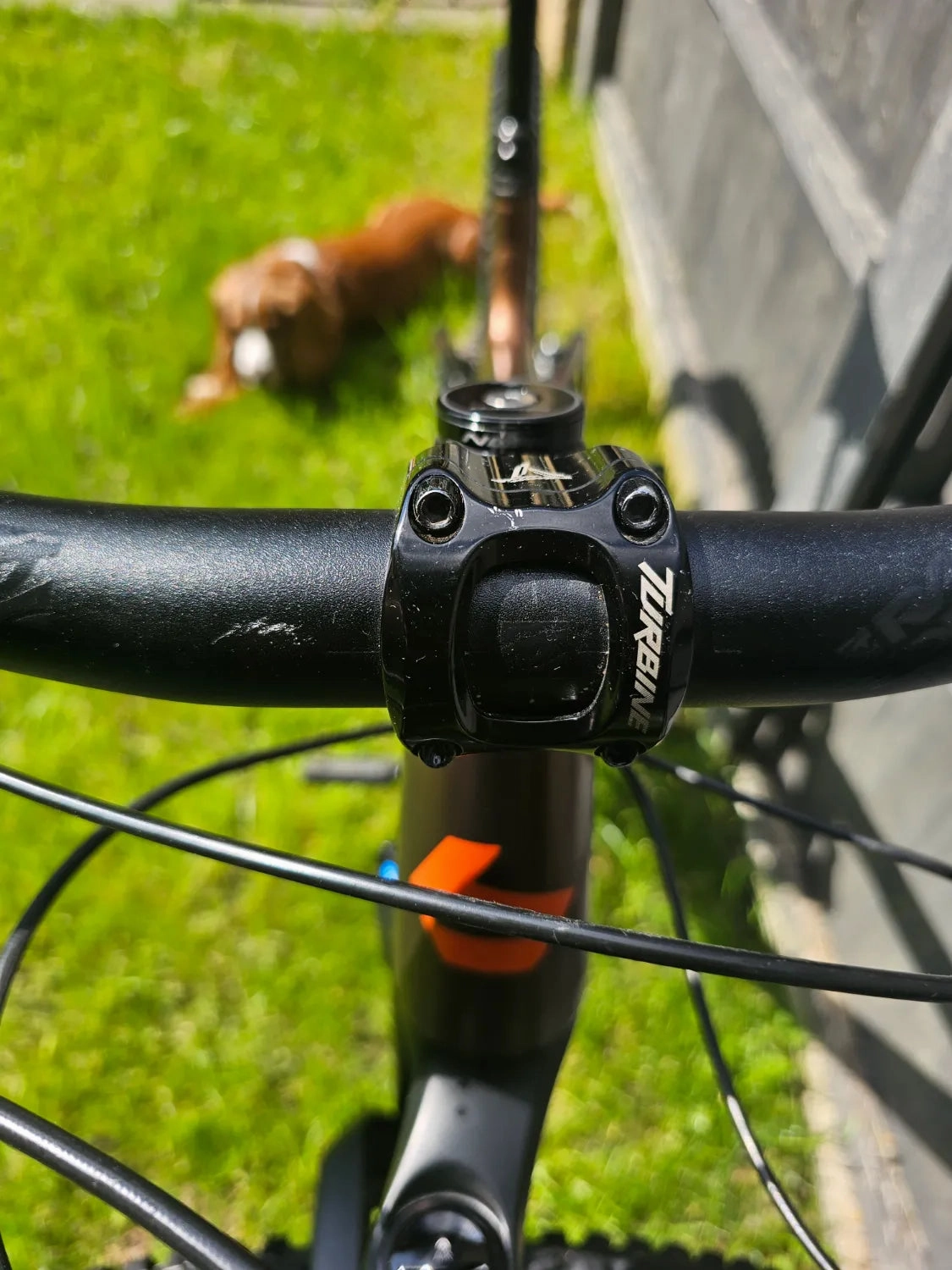 Bergamont Trailster 8 2020