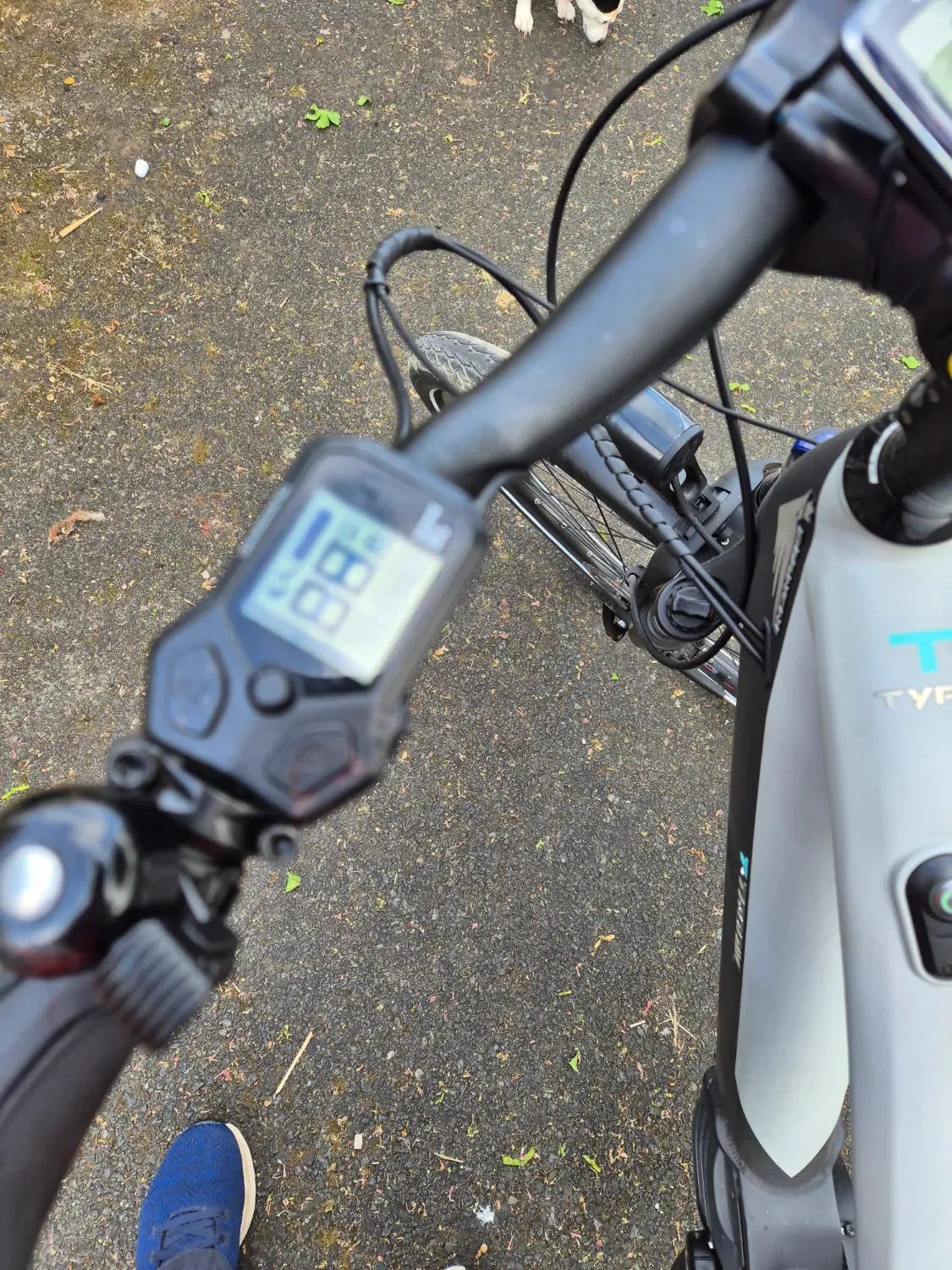 Bianchi T-Tronik C-Type 2023