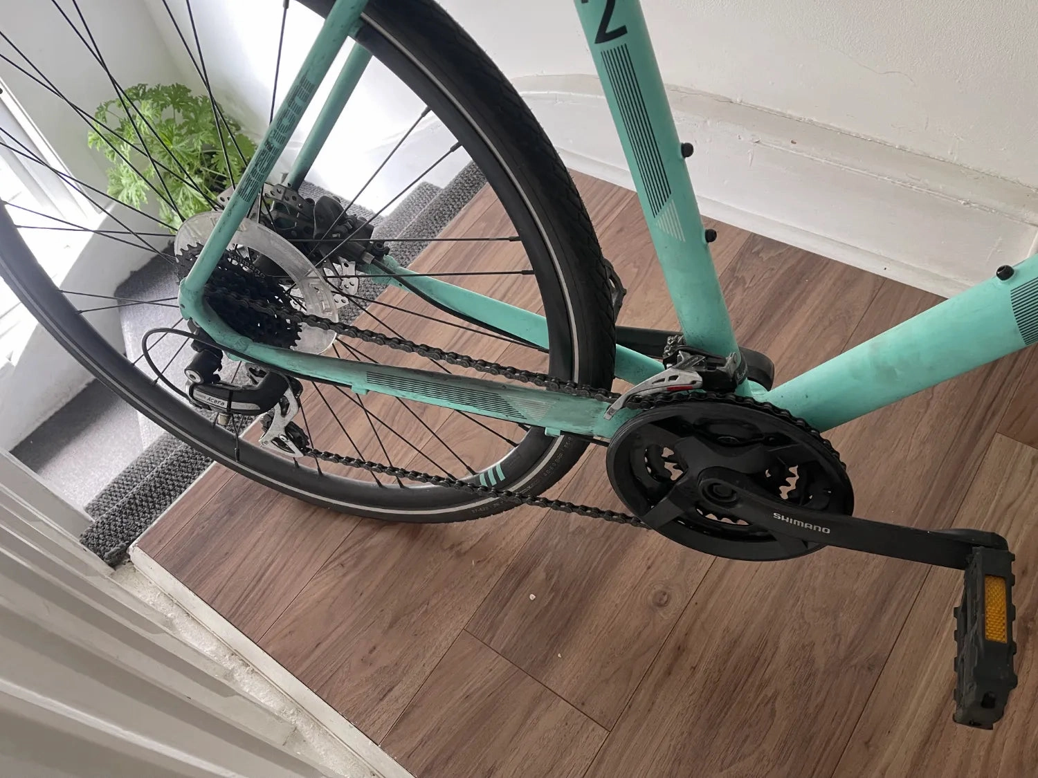 Bianchi C Sport 2 2023