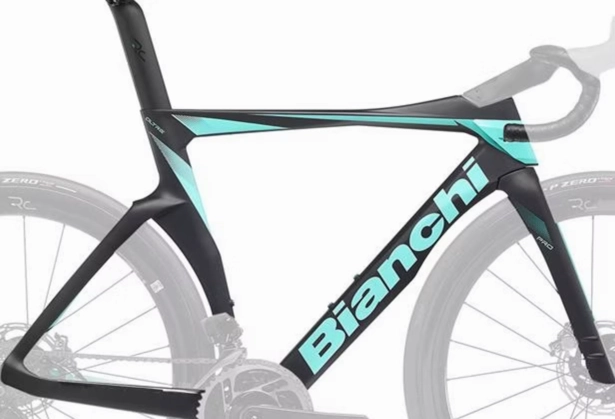 Bianchi Oltre Pro Disc Frameset 2024