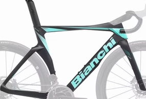 Bianchi Oltre Pro Disc Frameset 2024