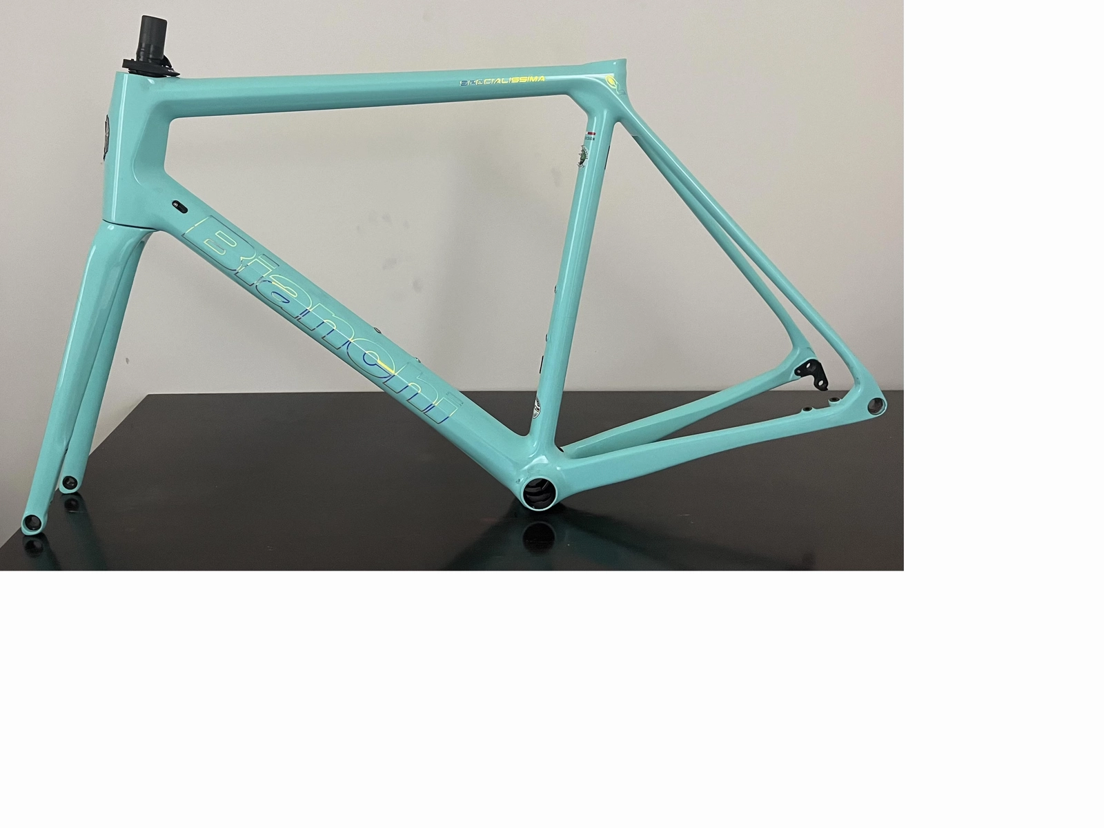 Bianchi Specialissima Frameset (CK16) DEMO
