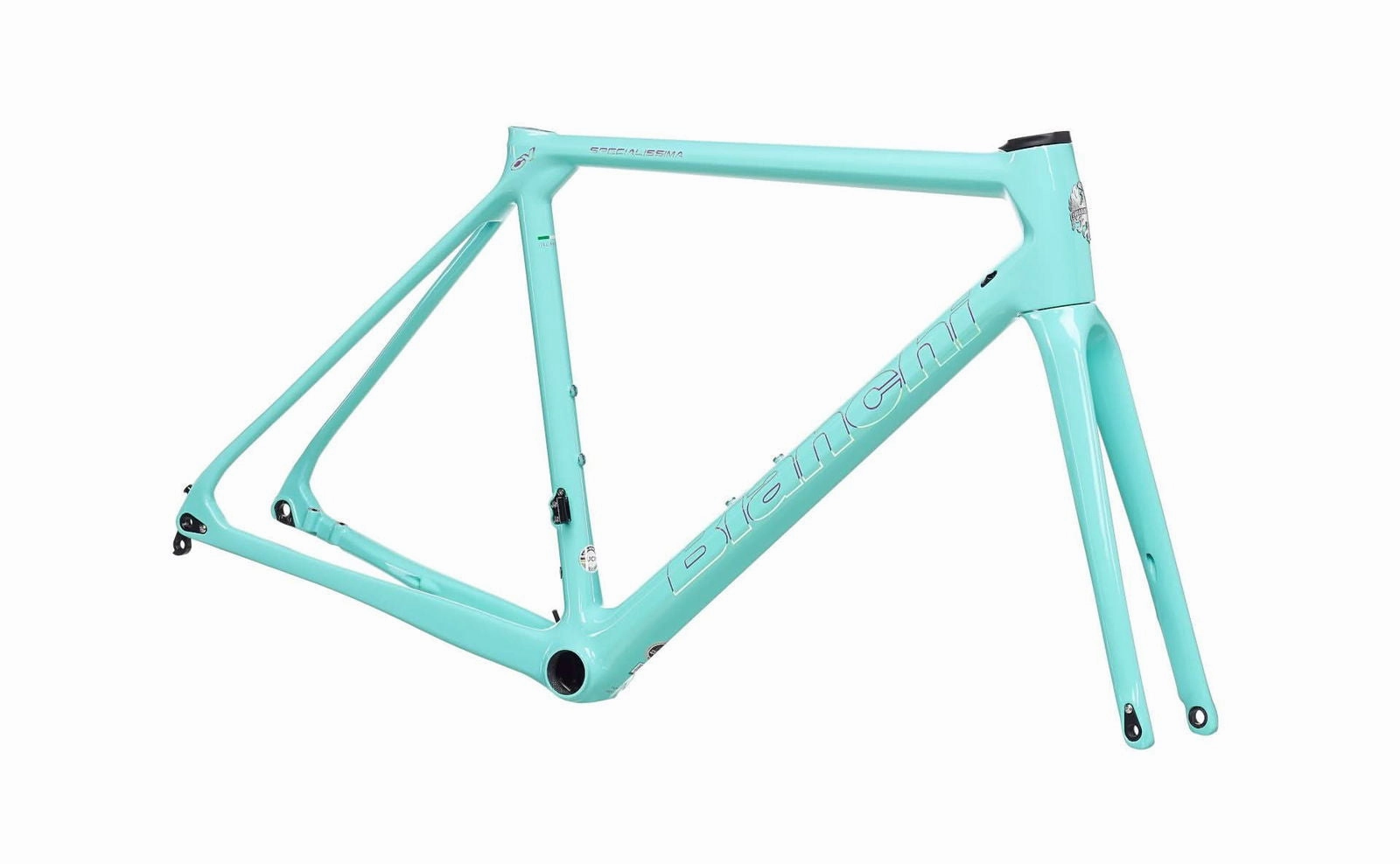 Bianchi Specialissima Frameset