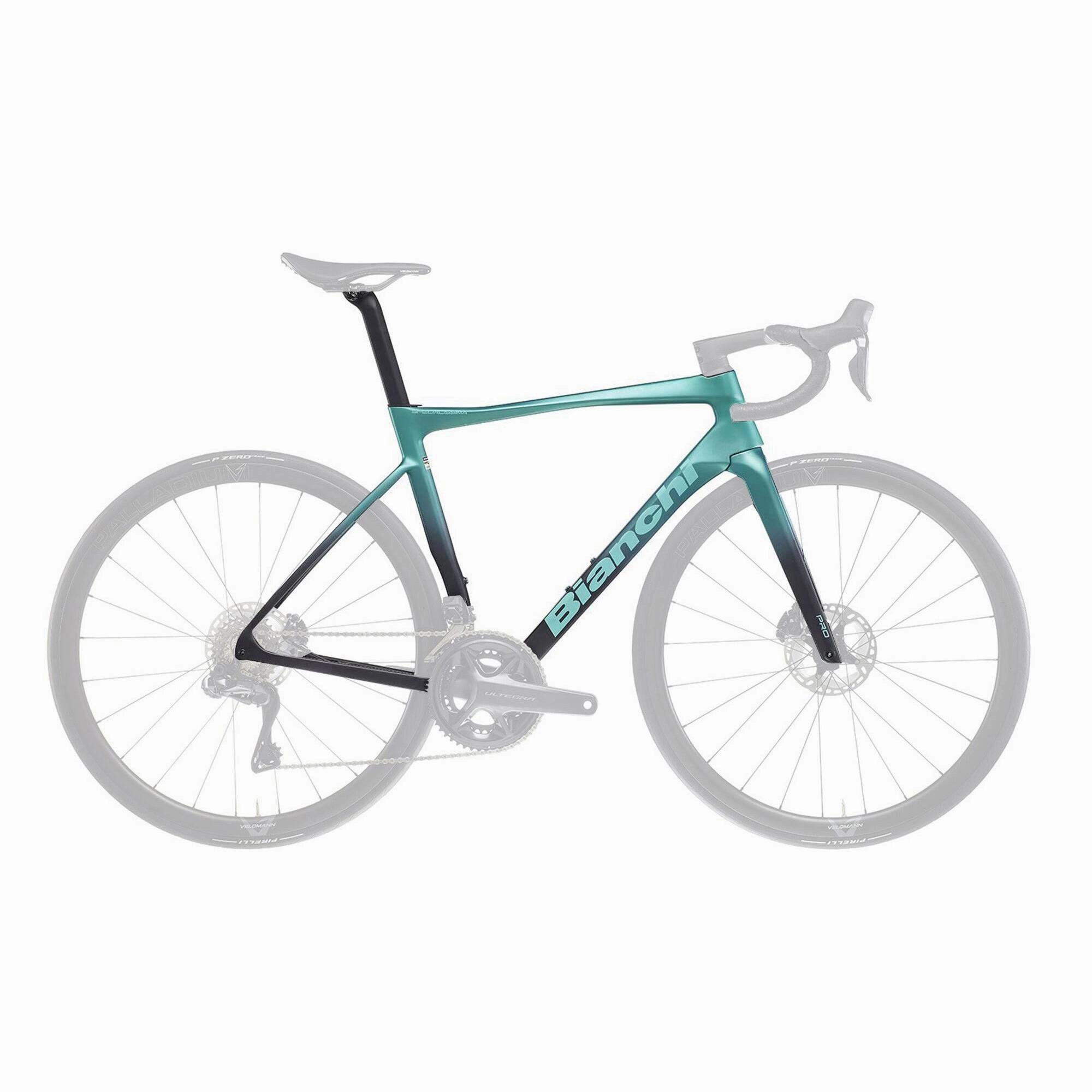 Bianchi Specialissima Pro Disc Frameset