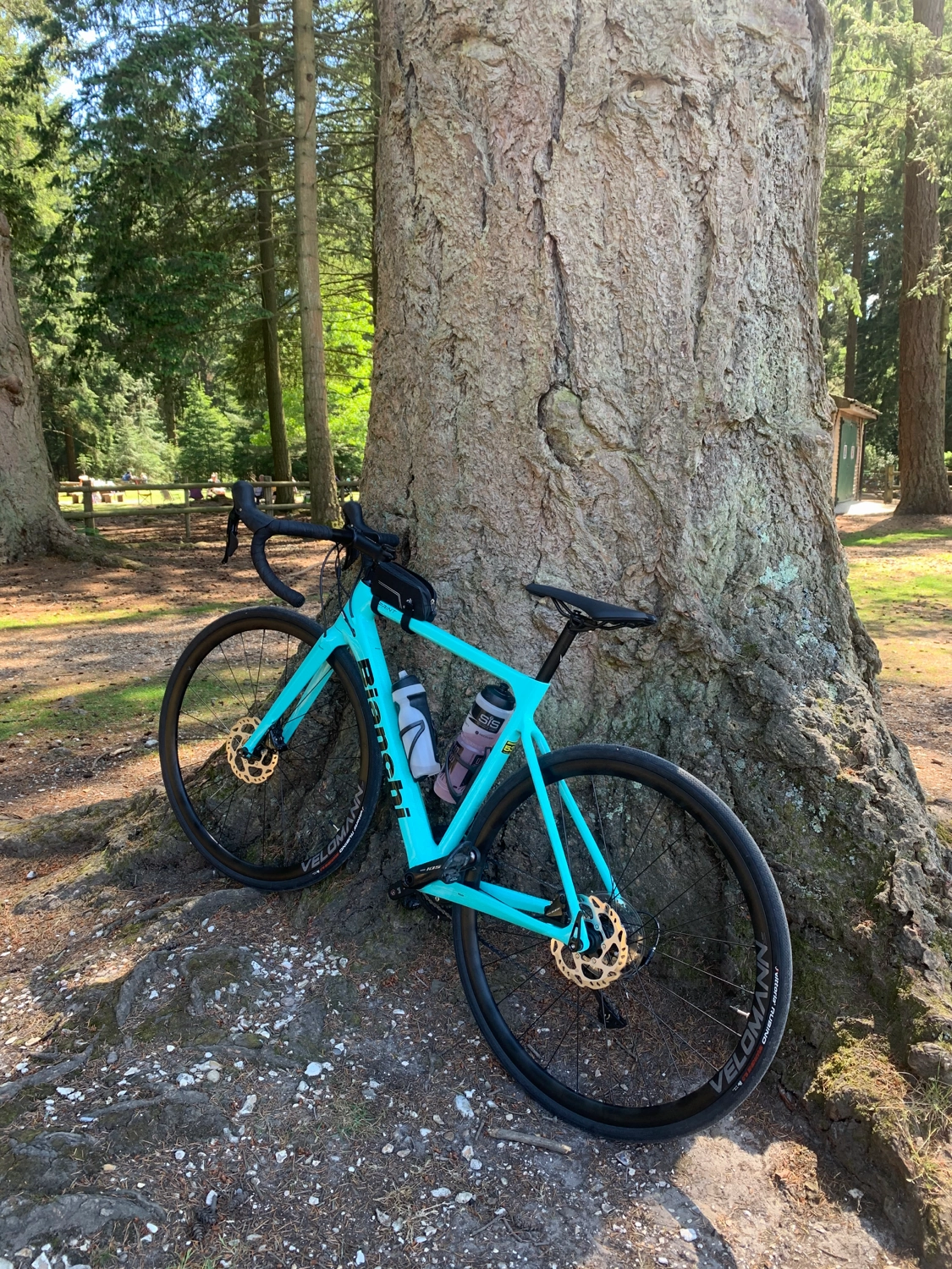 Bianchi Sprint 105 2021