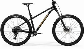 Big Trail 300 2025