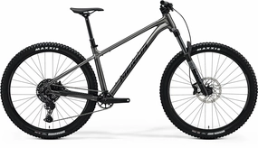 Big Trail 500 2025