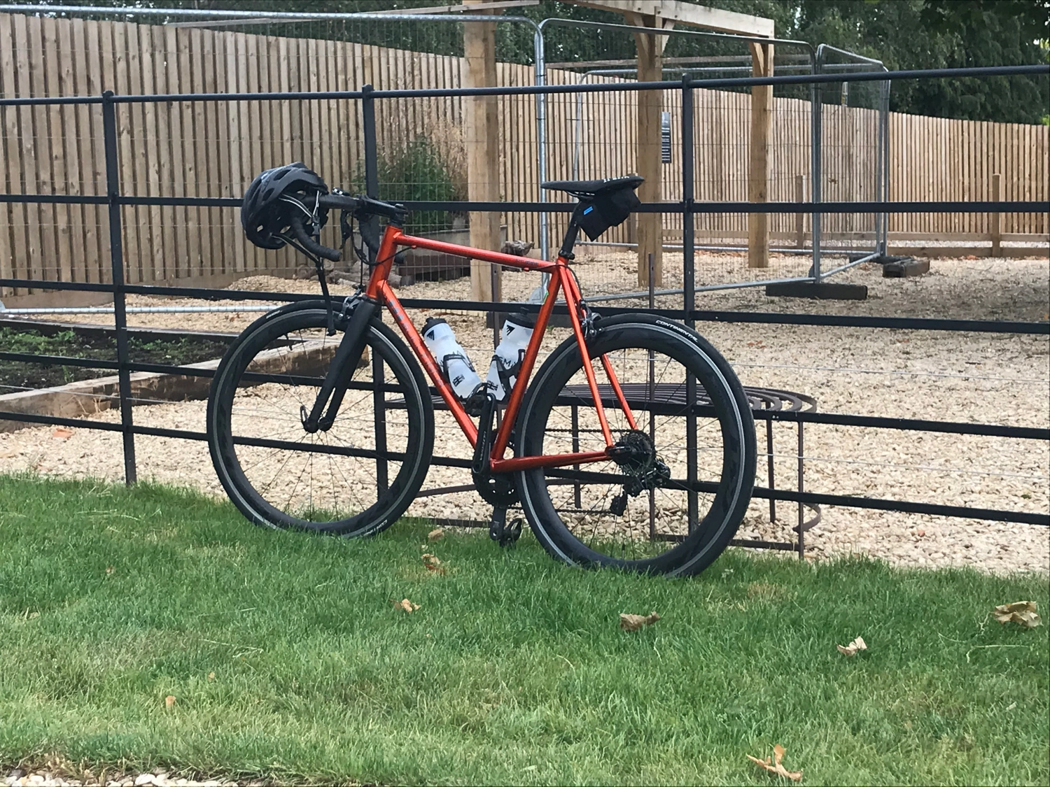 Bullfinch  AR44 2017