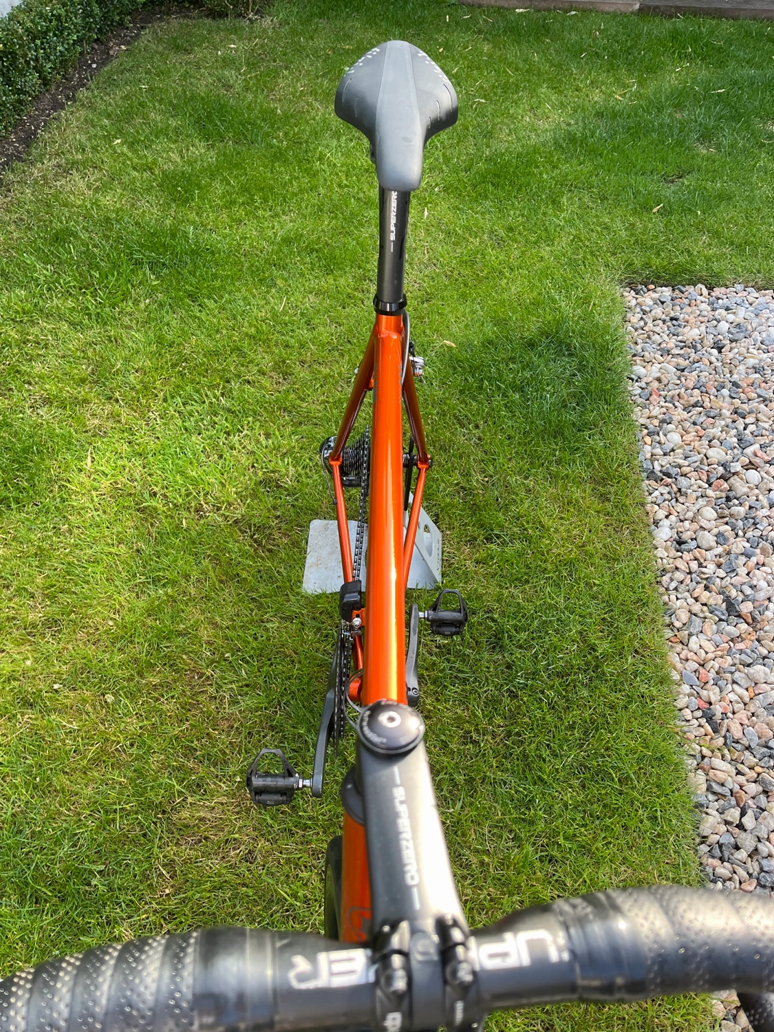 Bullfinch  AR44 2017