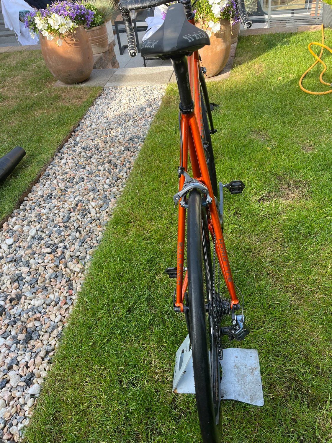 Bullfinch  AR44 2017