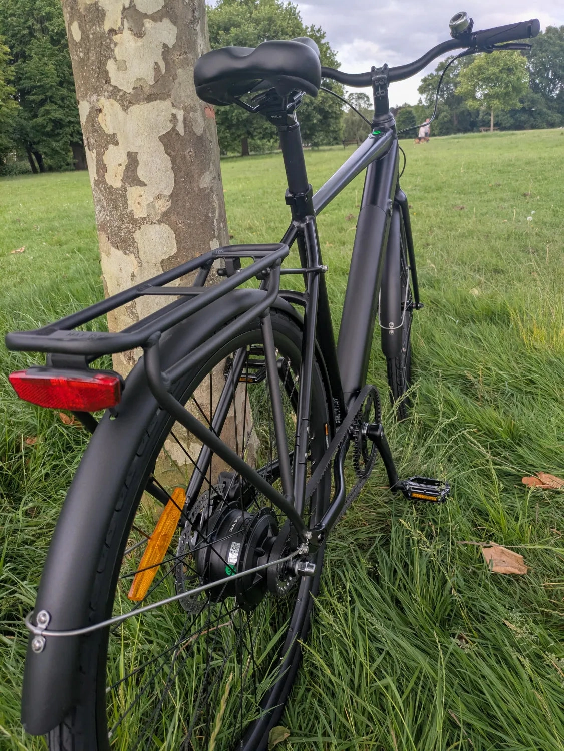 Buzzbike EZ 2024