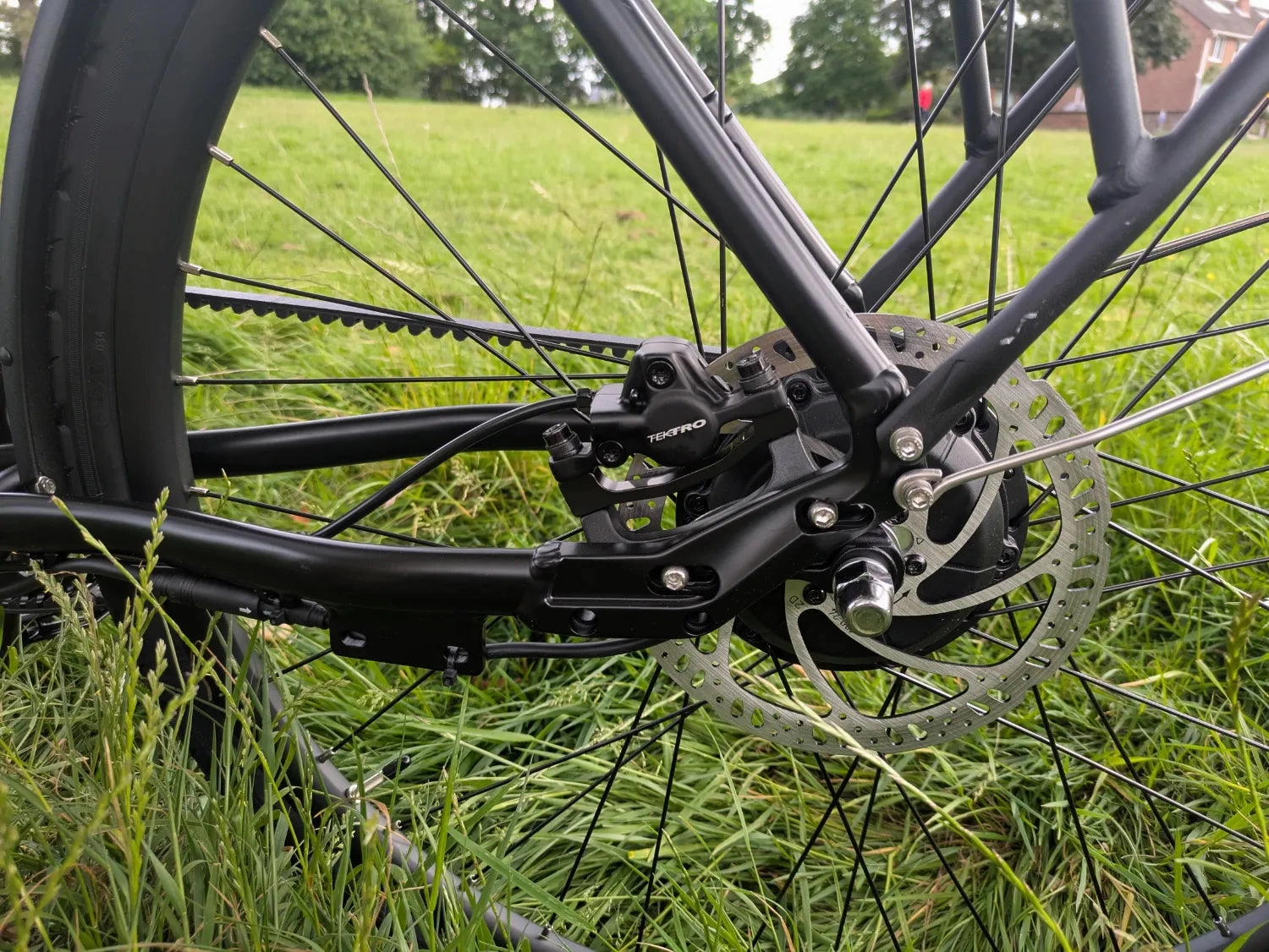 Buzzbike EZ 2024