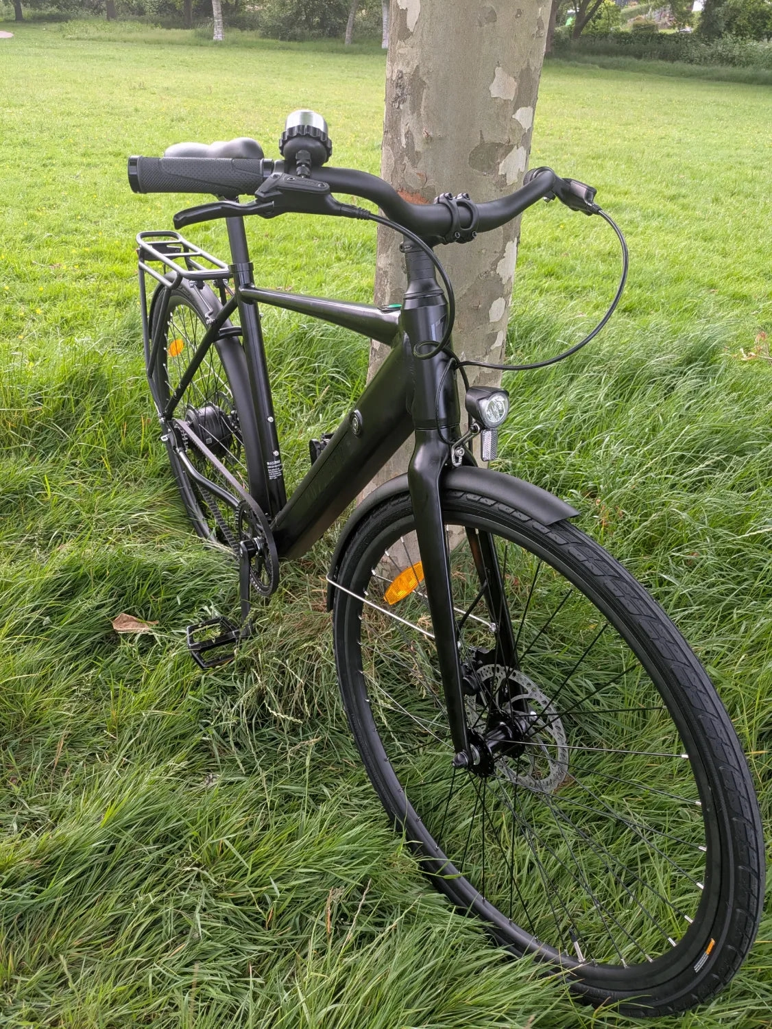 Buzzbike EZ 2024