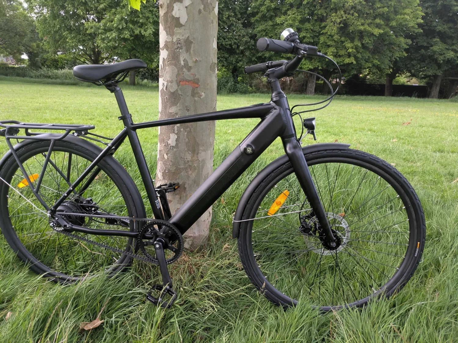 Buzzbike EZ 2024