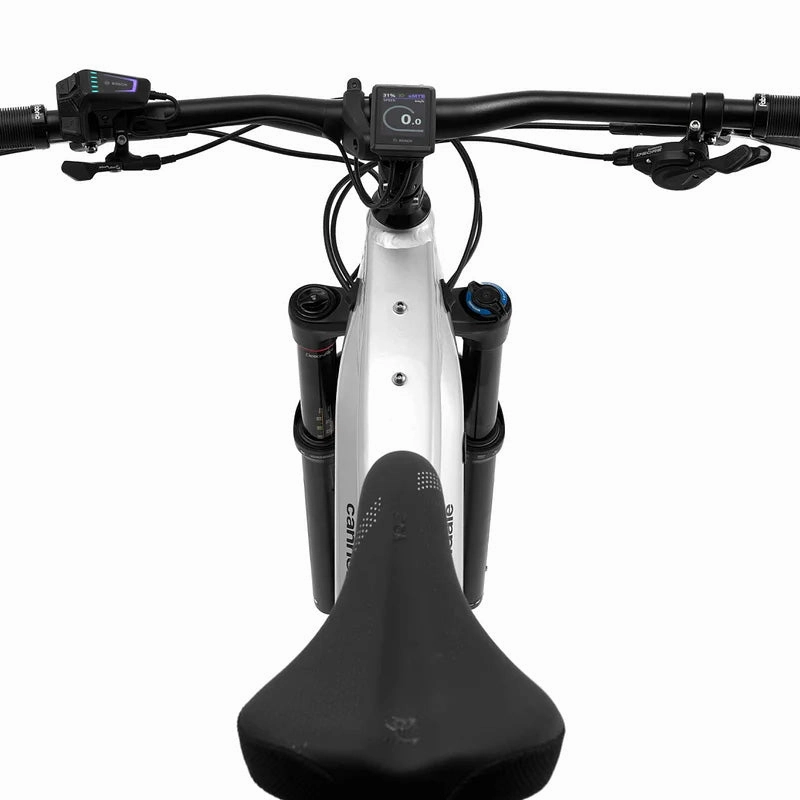 Cannondale Moterra Neo 3 - Grey