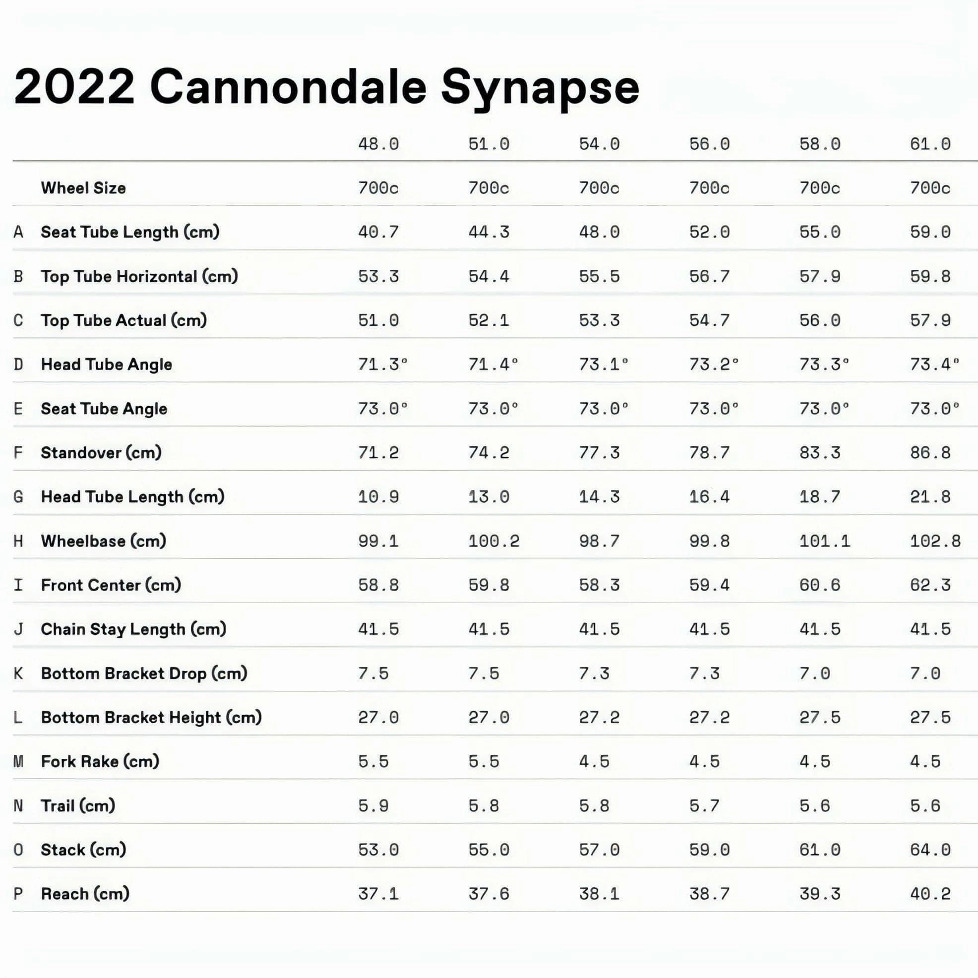 Cannondale Synapse Carbon 4 Road Bike 2024 - Pine