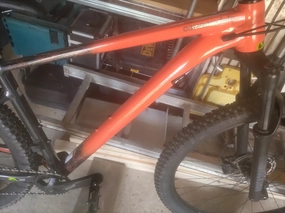 Cannondale Trail SE 3 2021