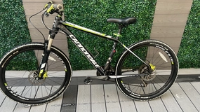 Cannondale Trail Women's SL 4 2021