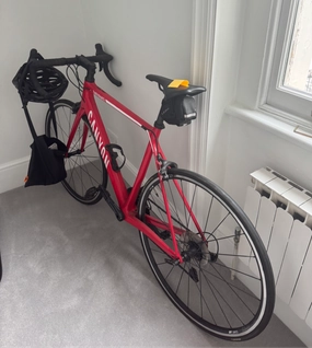 Canyon Endurace CF 8.0 2019