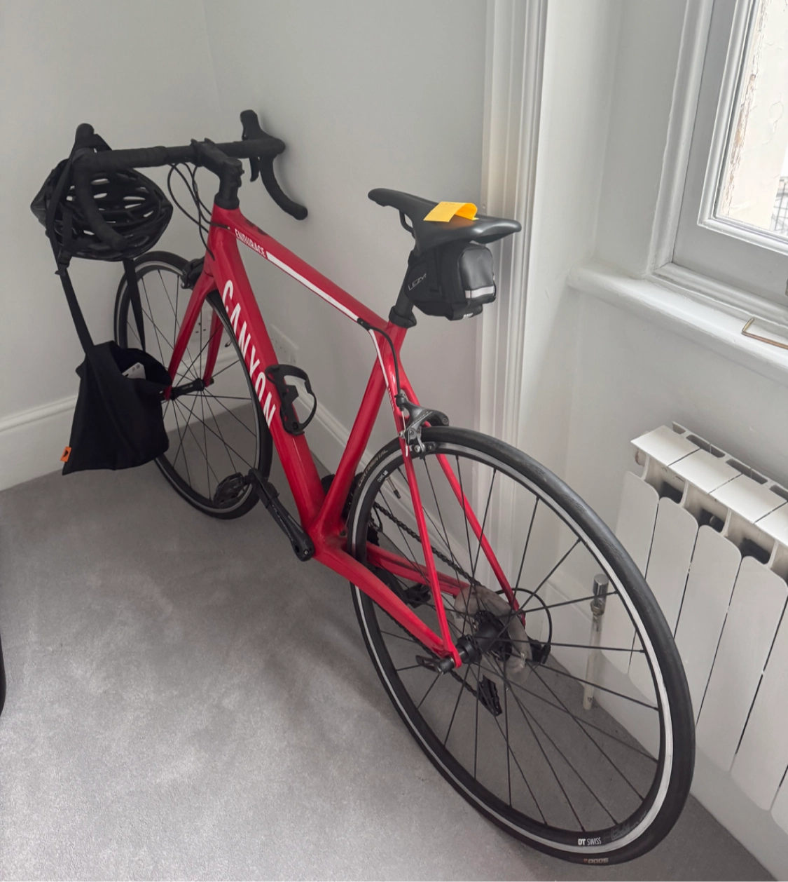 Canyon Endurace CF 8.0 2019