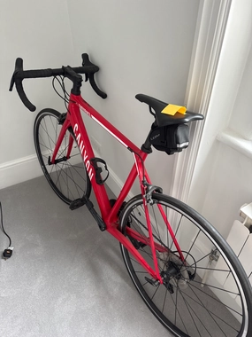 Canyon Endurace CF 8.0 2019