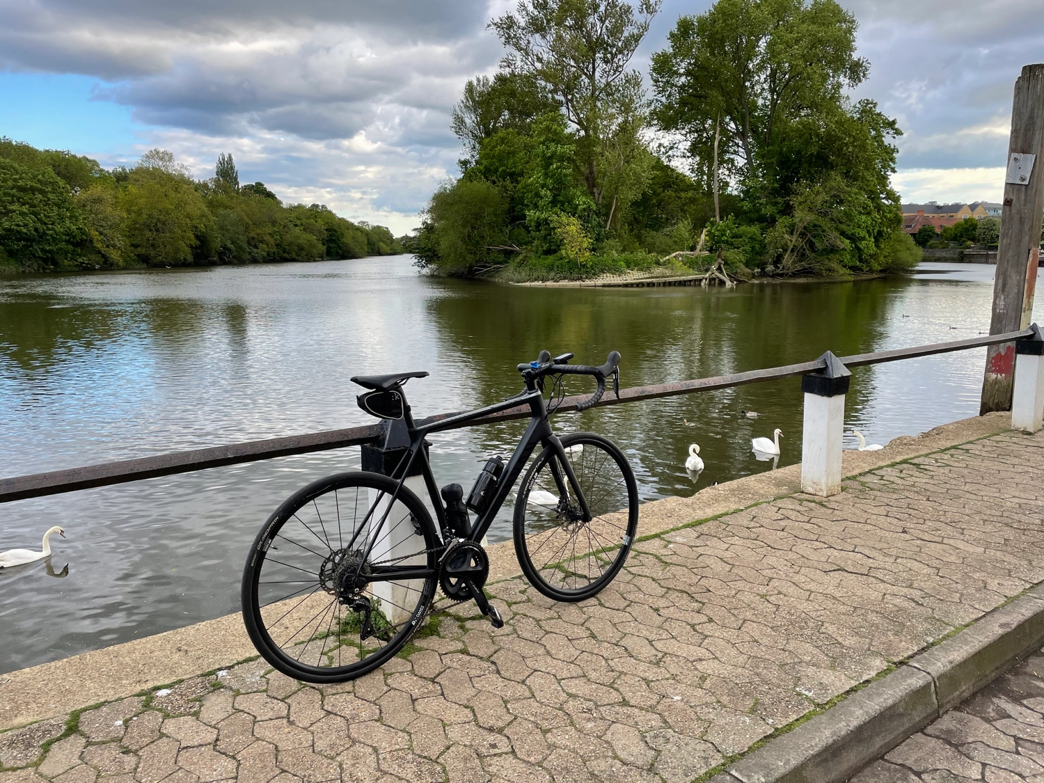 Canyon Endurace CF SL 7 Disc 2021