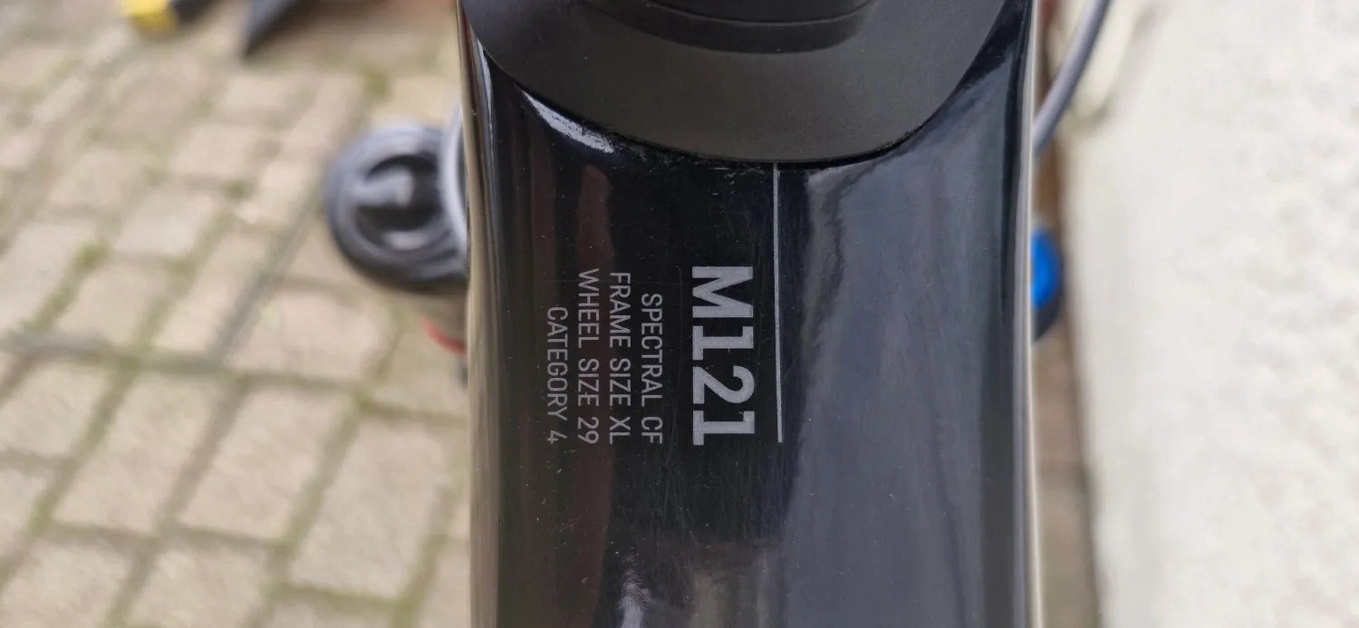 Canyon Spectral 29 CF 9 2021