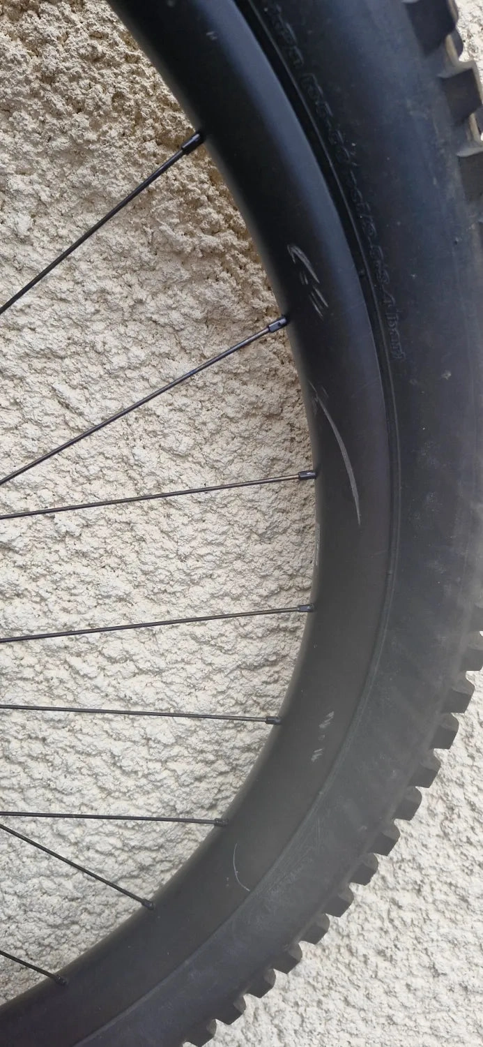 Canyon Spectral 29 CF 9 2021