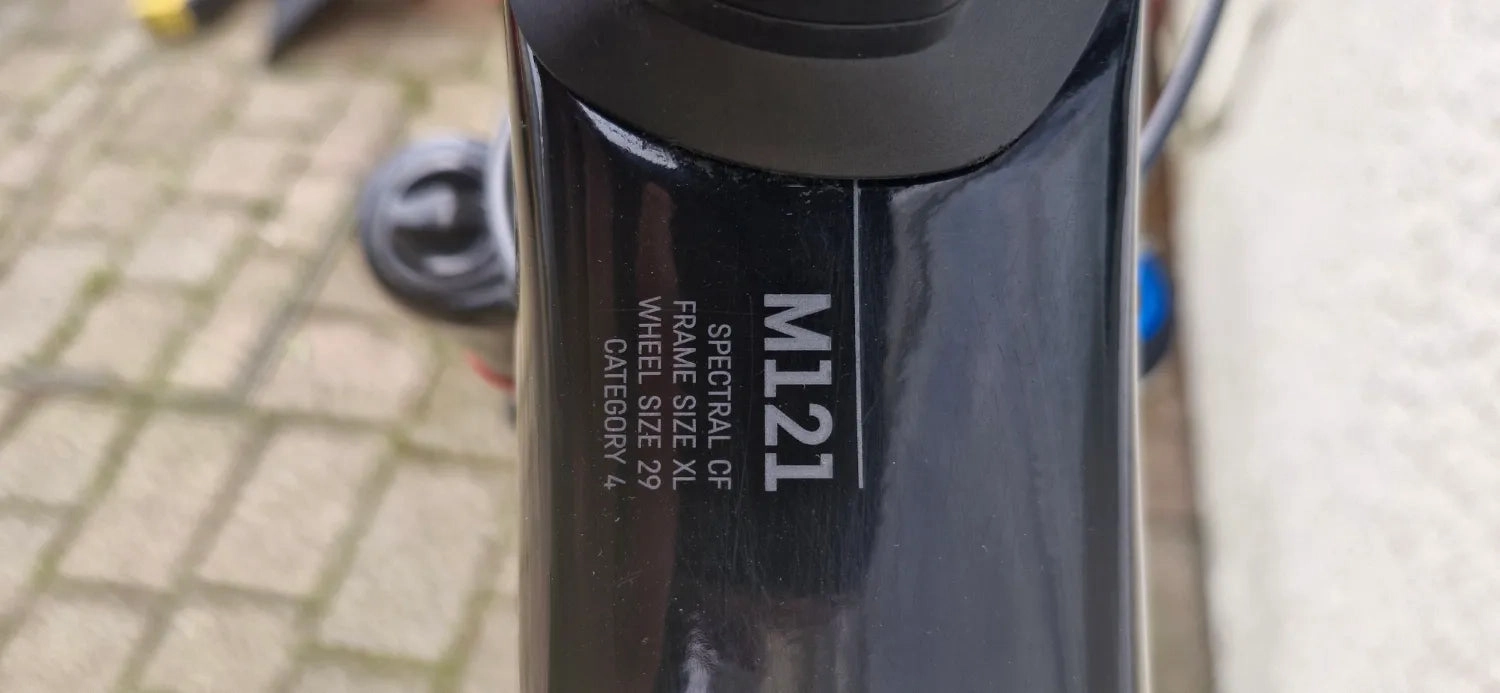 Canyon Spectral 29 CF 9 2021