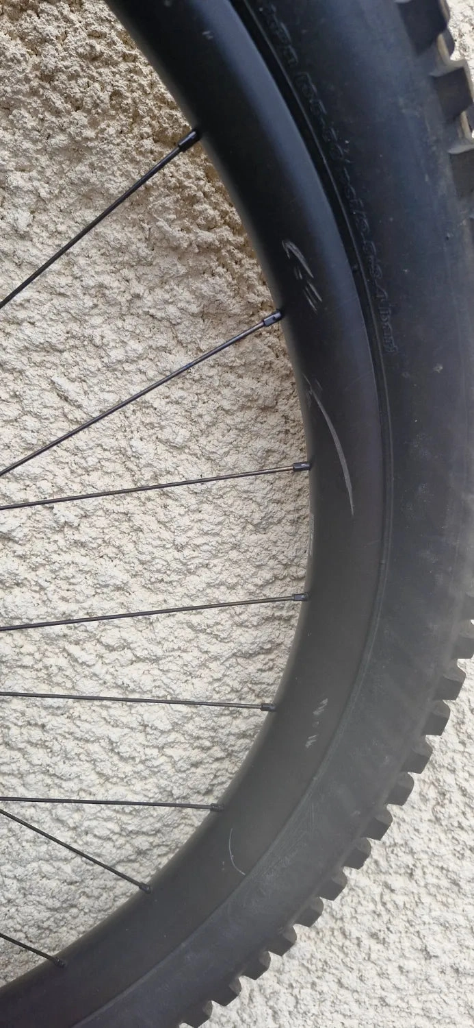 Canyon Spectral 29 CF 9 2021